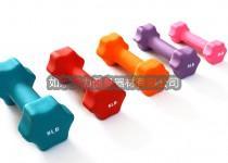 Neoprene Dipping Dumbbell