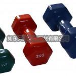 Hex Vinyl Dumbbell With Convex Handle